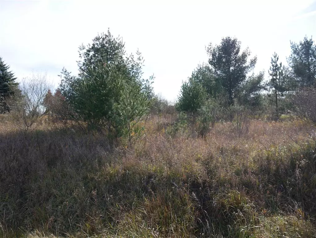 Butman Twp, MI 48624,00 Track Iron Trail Lot 300