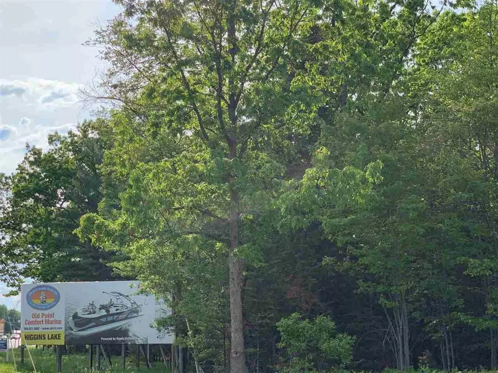 Denton Twp, MI 48629,XXX W Houghton Lake Drive