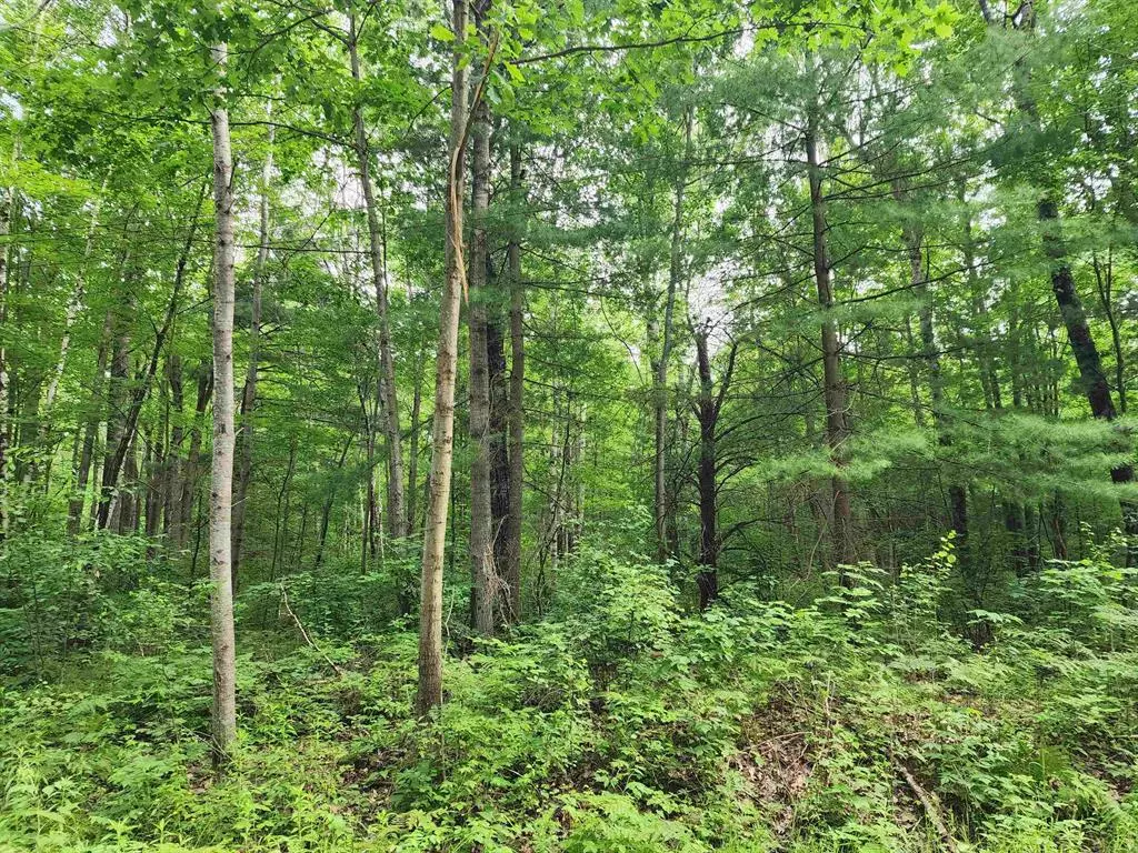 Franklin Twp, MI 48625,00 Pineview