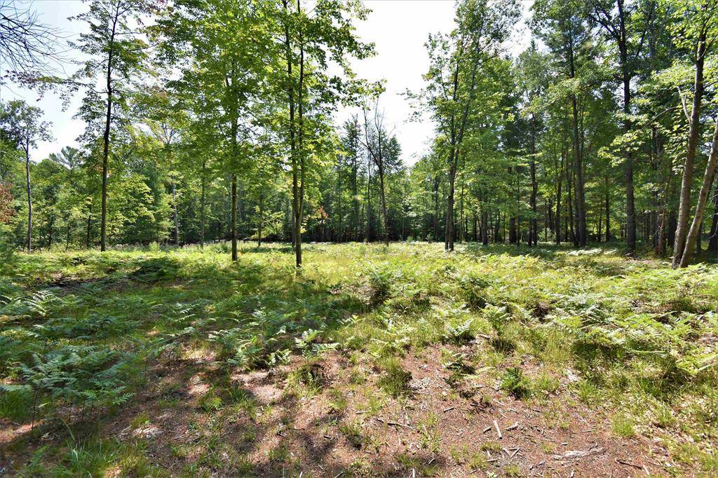 N Forest Lake Drive, Moffatt Twp, MI 48610