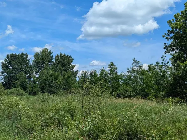 Sherman Twp, MI 48765,N/A Crosby Road