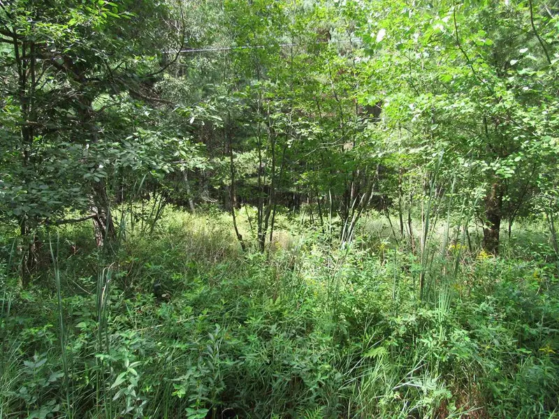 00 Duby Road Parcel C-2, Alabaster Twp, MI 48763
