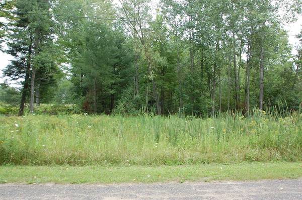 0 Crawford Street Arthur Court, West Branch Twp, MI 48661