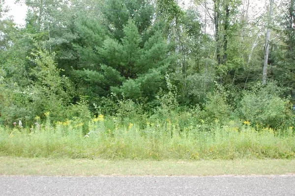 West Branch Twp, MI 48661,0 Crawford Street Lot: 29