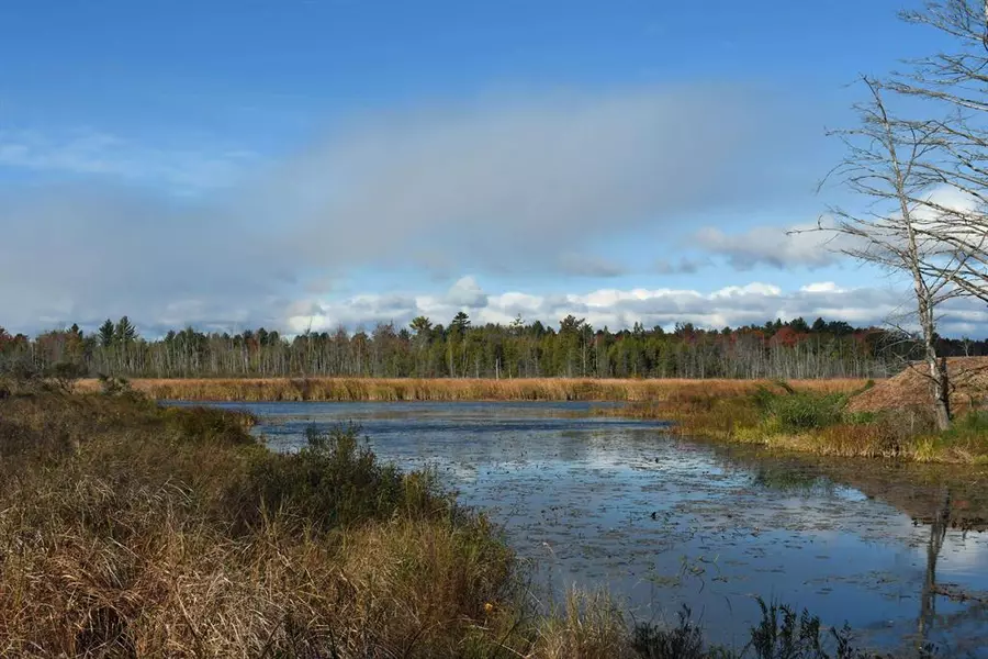 02 Rainbow Drive, Baldwin Twp, MI 48730