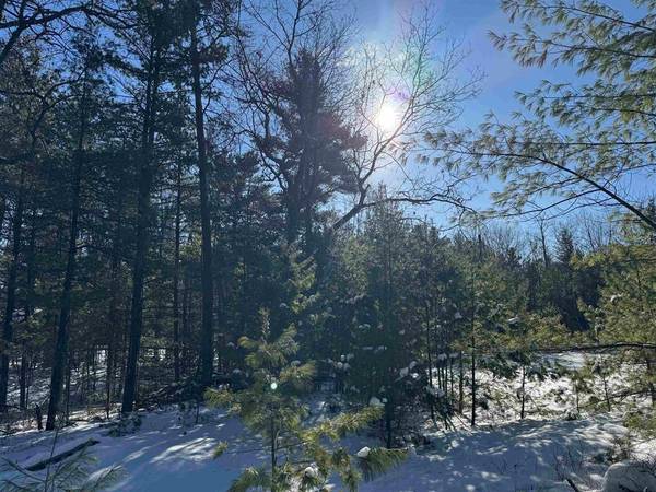 4699 Johnson Road, Au Sable Twp, MI 48750