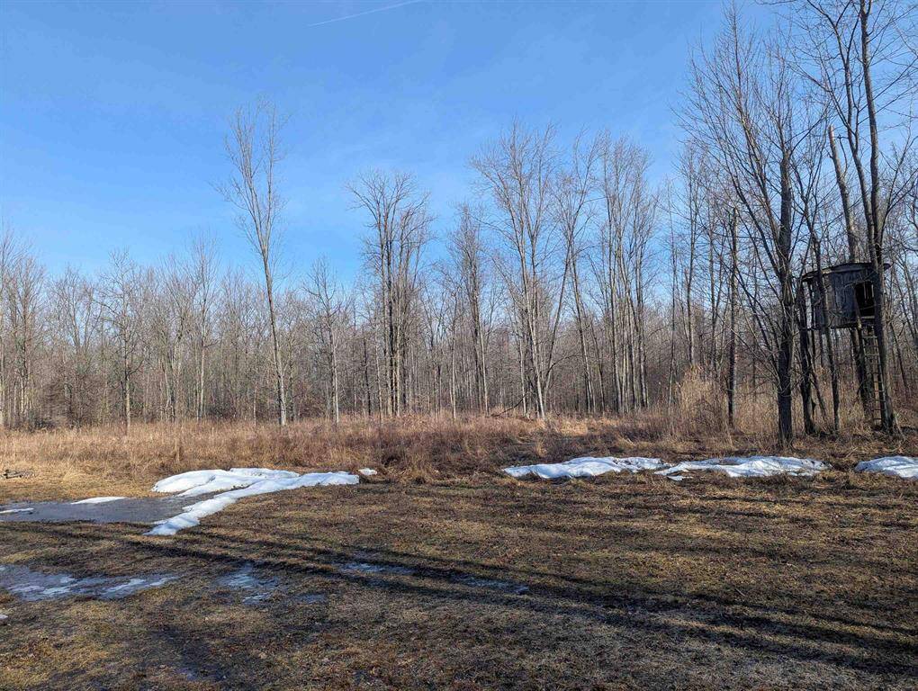 2428 Stowell Road, Whitney Twp, MI 48765
