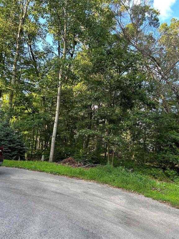 Churchill Twp, MI 48661,0 Whitetail Court Lot 165 Whitetail Court Lot: 165