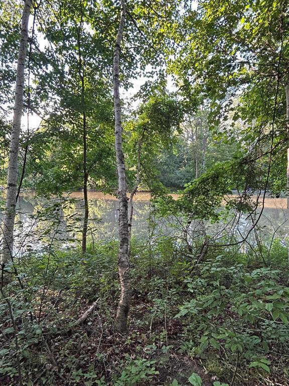 Churchill Twp, MI 48661,0 Whitetail Court Lot 165 Whitetail Court Lot: 165