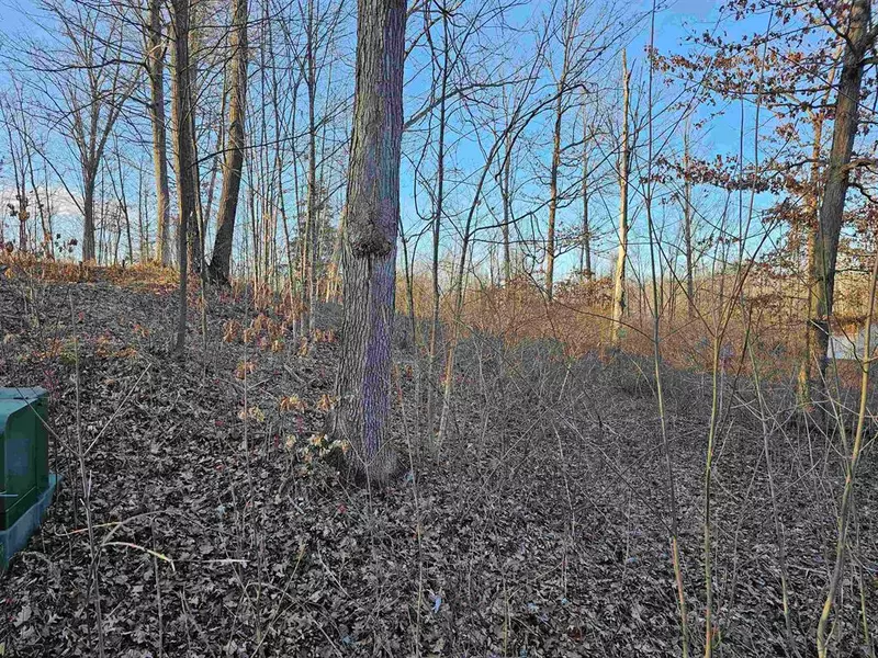 v/l Oak Lane, Hill Twp, MI 48739