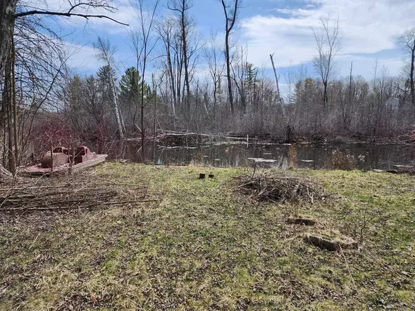 Plainfield Twp, MI 48739,7549 Cove Road