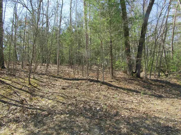 00_VL Onondaga Trail Lot: 1006-7, Churchill Twp, MI 48661