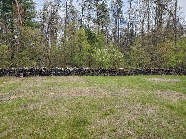 Mills Twp, MI 48756,4045 Elbow Lake Road