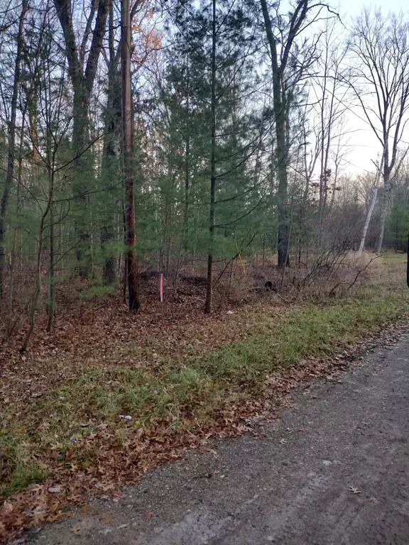 Mills Twp, MI 48756,XX Beals Drive