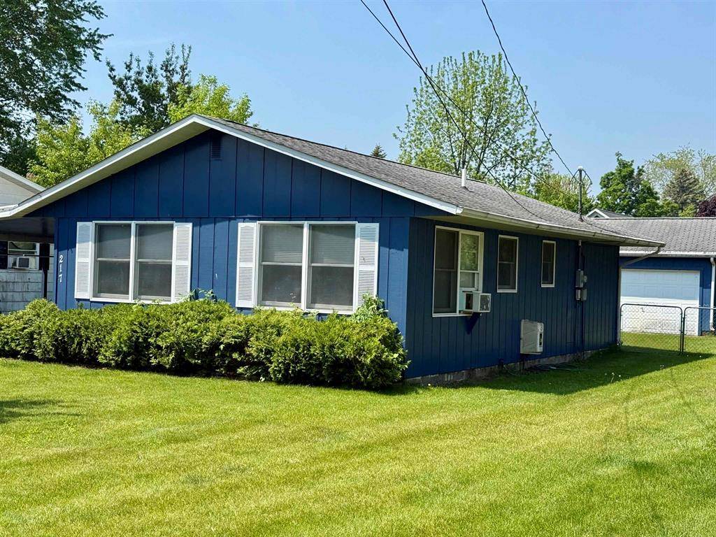217 Evans Street, Baldwin Twp, MI 48730
