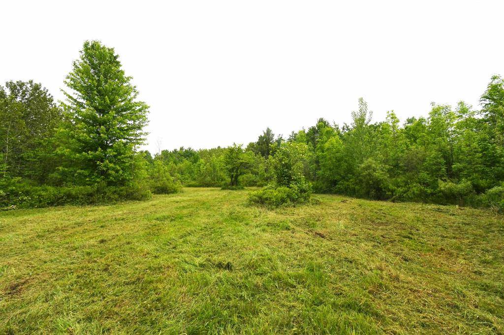 01 Alabaster Road,  Sherman Twp,  MI 48765