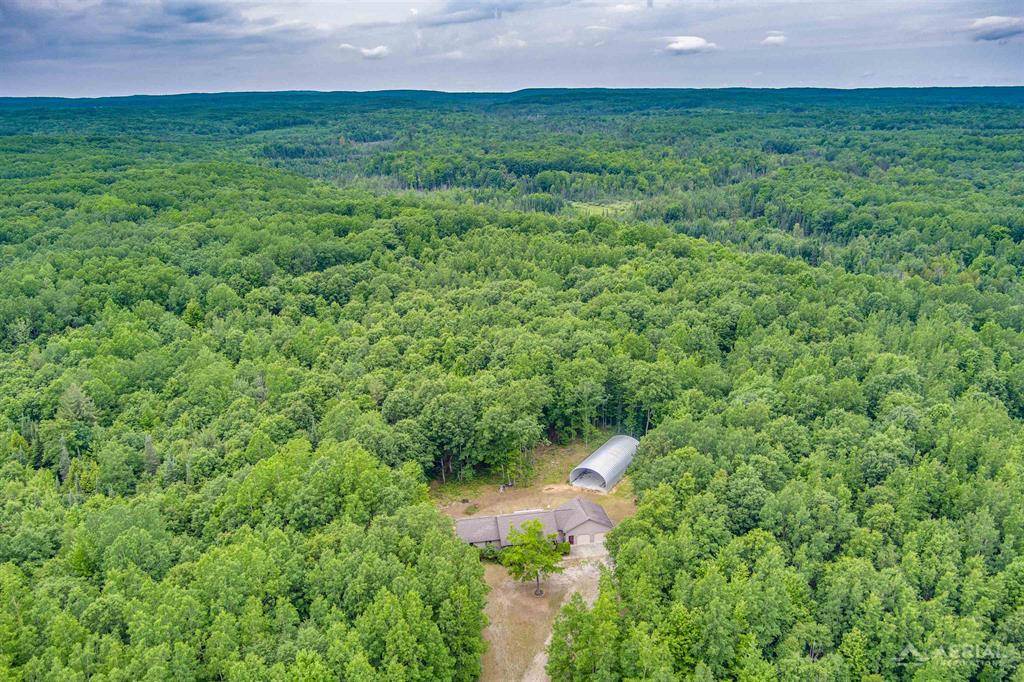 4685 Johnson Drive, Goodar Twp, MI 48761
