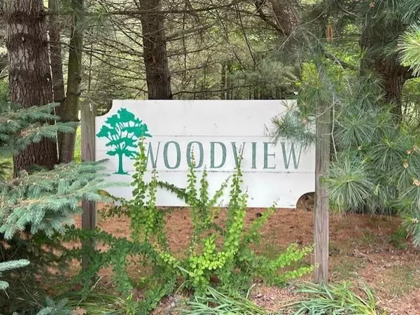 00 Manning Lane Lot: 24, Baldwin Twp, MI 48730