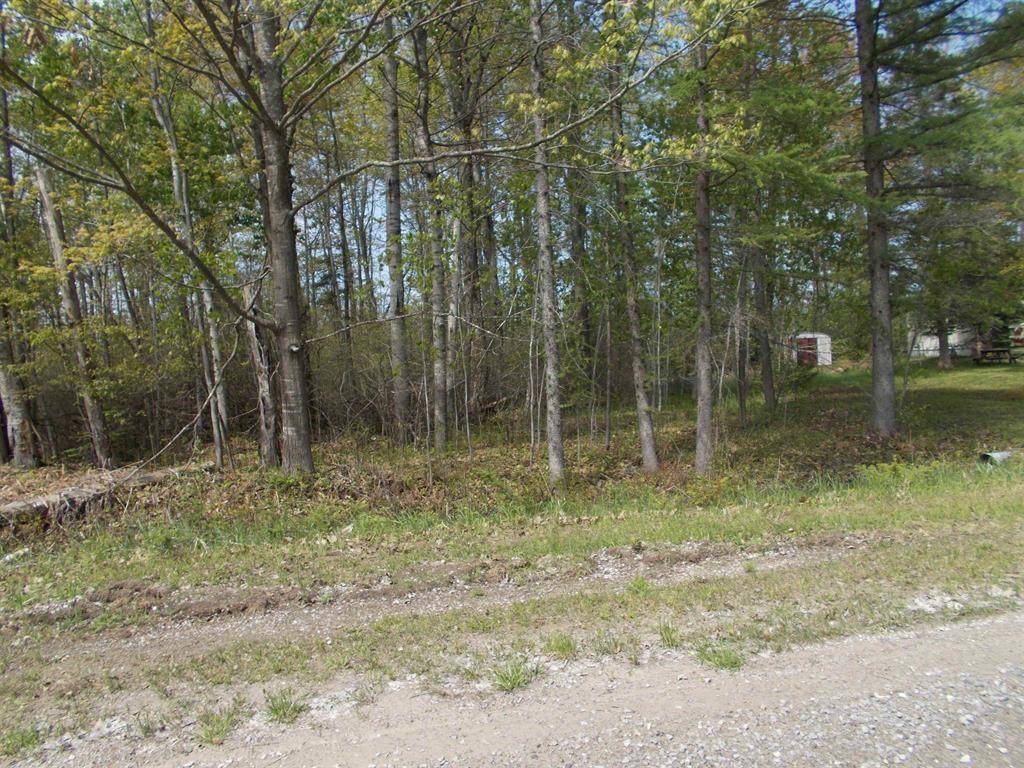 Plainfield Twp, MI 48739,2995 Maple Road