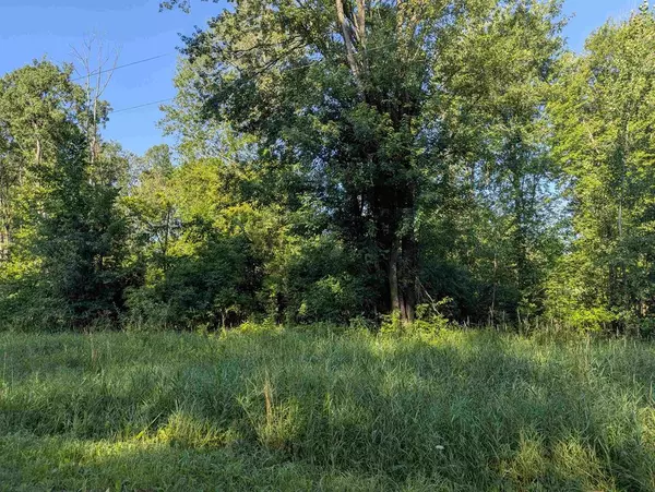 Au Gres Twp, MI 48749,N/A Crawford Road