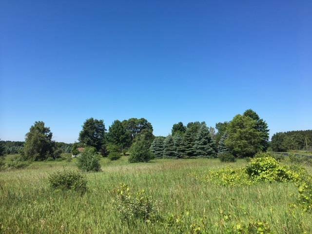 00 Rex Terrace Road, Milton Twp, MI 49676