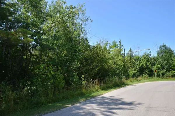 00 W Third Street, Elk Rapids Twp, MI 49629