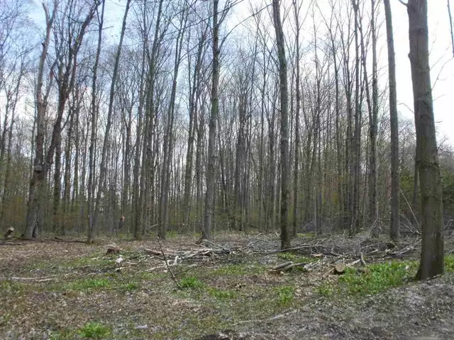 19573 Karlin Road, Colfax Twp, MI 49683