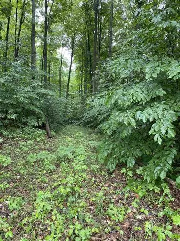 6572 Twin Lakes Road, Cold Springs Twp, MI 49659