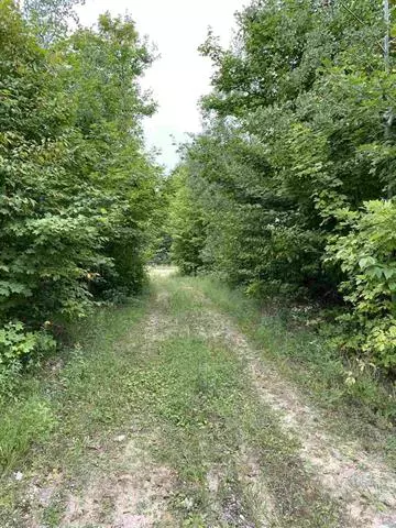 8353 SE Campbell Road,  Garfield Twp,  MI 49633