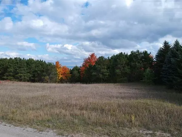 00 S Celtic Lane Lot: A, Suttons Bay Twp, MI 49682