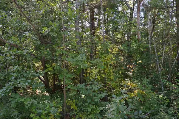 Elk Rapids Twp, MI 49629,000 Spruce Street Lot: 83