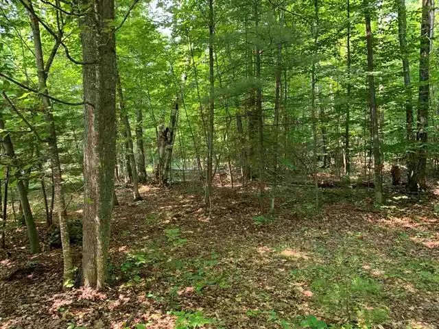 Lot 11 Aspen Trail Lot: 11, Torch Lake Twp, MI 49648