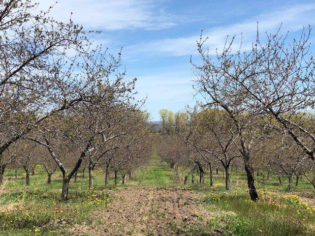 Smokey Hollow Road, Peninsula Twp, MI 49686
