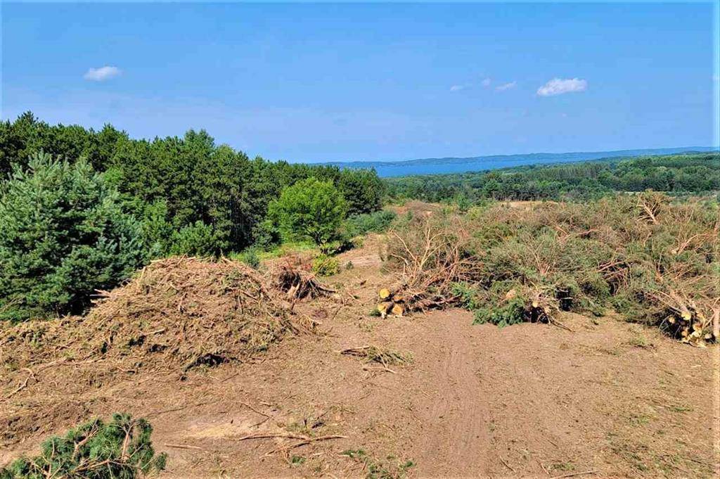 Helena Twp, MI 49612,Parcel B Cemetery Road Lot: B