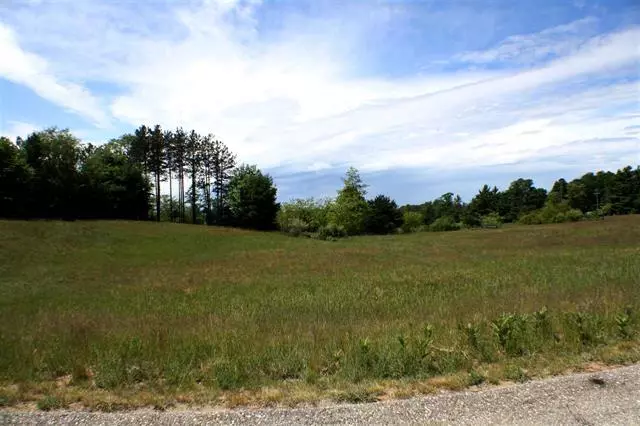 Empire Twp, MI 49630,11728 S Roen Drive Lot 77 Lot: 77