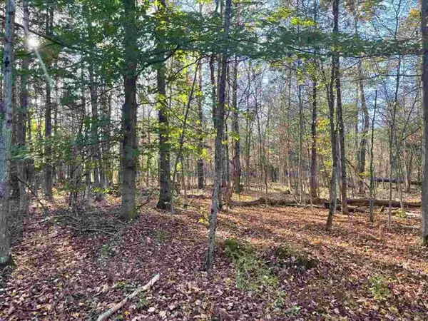 Lot 249 & 250 Holly Drive, Springdale Twp, MI 49683