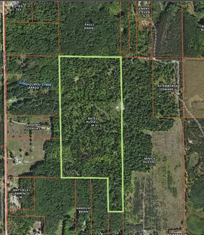 000 14 Mile Road, Leroy Twp, MI 49655