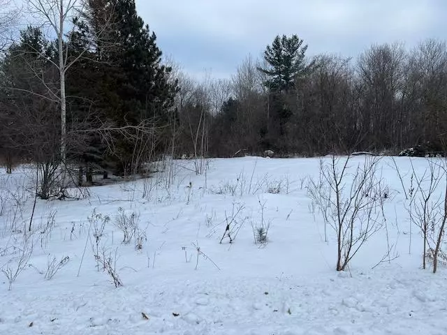 Butterfield Twp, MI 49667,301 Merritt Street