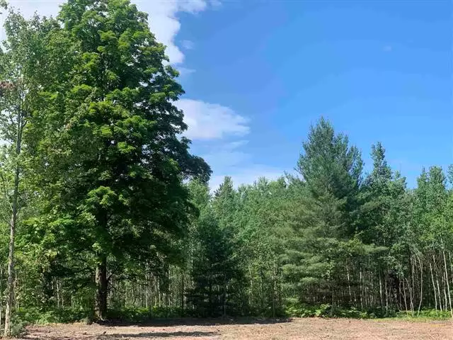 Kalkaska Twp, MI 49646,Lot 10 Metzgar Road