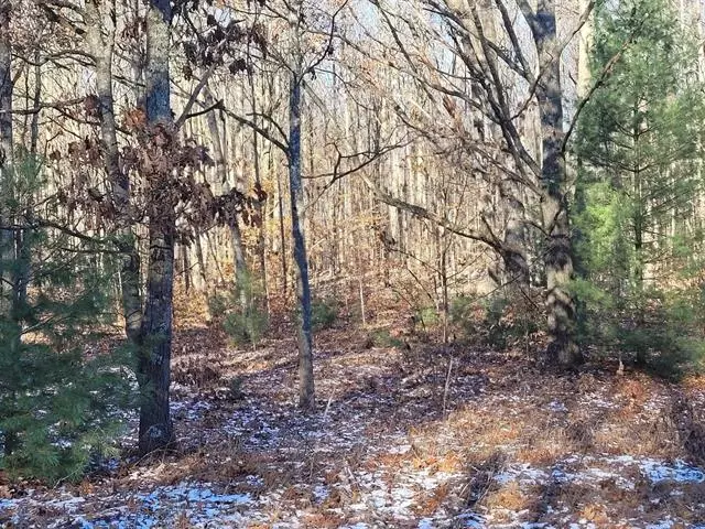 TBD Reynolds Road, Inland Twp, MI 49643