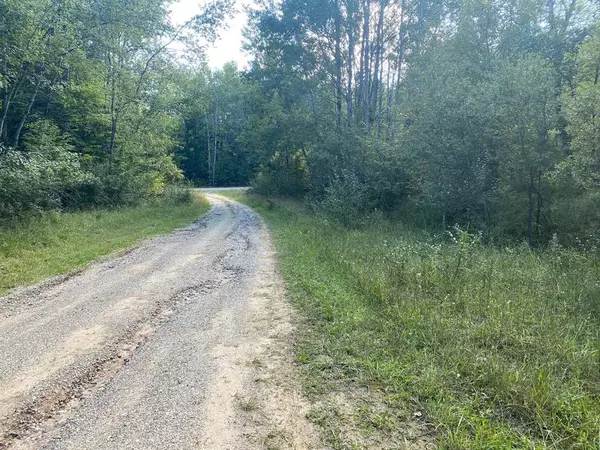 Cowlitz Cove Lot: Multip, Evart Twp, MI 49631