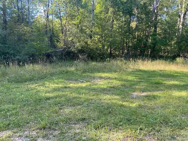 Evart Twp, MI 49631,Cowlitz Cove Lot: Multip