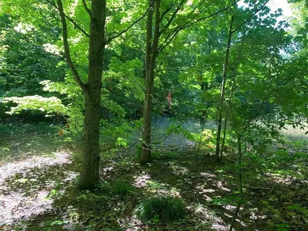 9864 E Keswick Hills Lot: 6, Bingham Twp, MI 49682