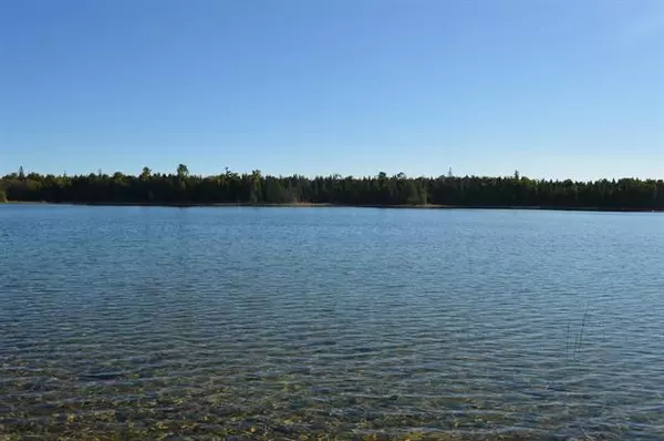 XXX S Coryell Island, Clark Twp, MI 49719