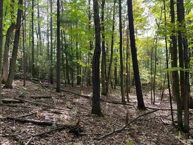 Lot 7 Arbutus Trail Lot: 7, East Bay Twp, MI 49696