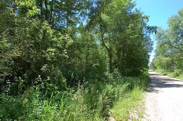 Sherman Twp, MI 49688,15501 22 Mile Road