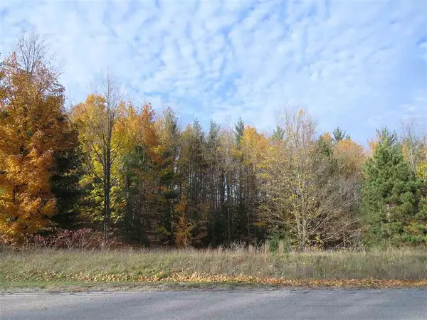 Paradise Twp, MI 49649,Lot 98 Eden