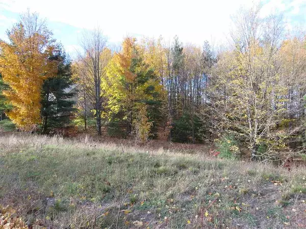 Paradise Twp, MI 49649,Lot 98 Eden