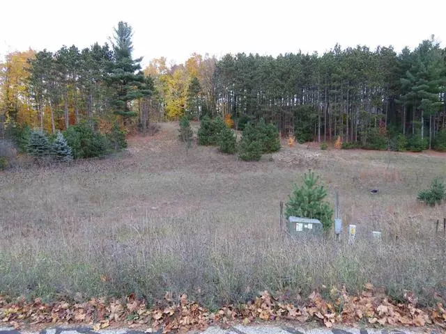 Paradise Twp, MI 49649,Lot 42 Pleasant