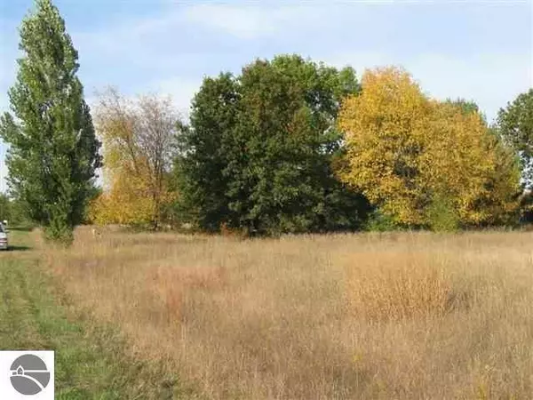 Helena Twp, MI 49612,Lot 34 Alden Meadows Lot: 34